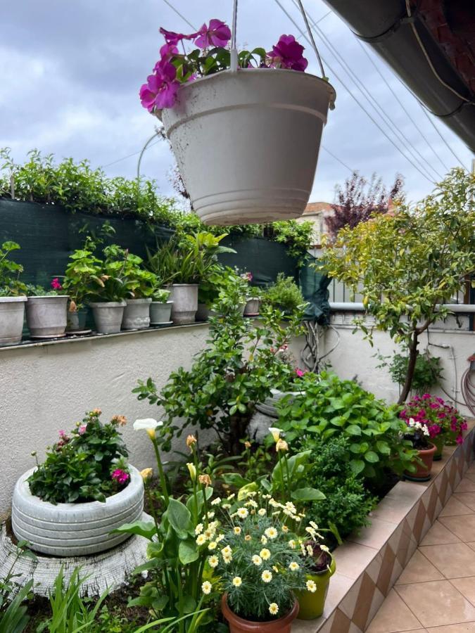 Goni Guest House Саранде Екстериор снимка